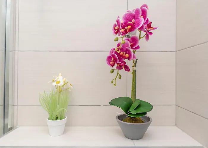 Gostinjska kuća B&a Zadar